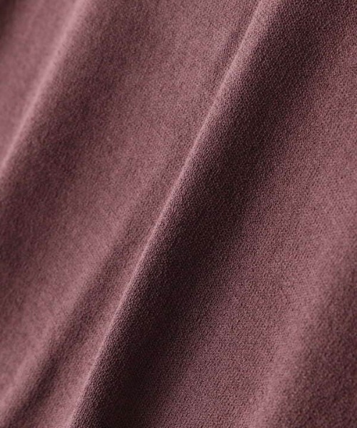 N.(N. Natural Beauty Basic)(エヌエヌナチュラルビューティーベーシック)の「◆バックボタンスリットニット(ニット/セーター・レディース・ブラウン/クリーム/グリーン・MEDIUM)」の11枚目の写真