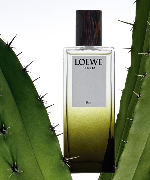 LOEWE エセンシア　エリクシール　オードゥ　パルファン　50ml オードゥ パルファン ”エセンシア エリクシール” (50mL)（香水