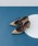 RODE SKOifXRj́uwMADE IN JAPANx`L[q[{pvXipvXjvbJ