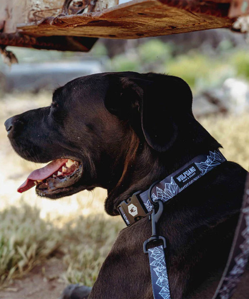 WOLFGANG MAN&BEAST/ウルフギャングマンアンドビースト 犬用 ハーネス WolfMountain Harness Sサイズ WH-001-83（リード/ハーネス/首輪）｜WOLFGANG MAN＆BEAST（ウルフギャングマンアンドビースト）