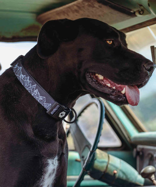 WOLFGANG MAN&BEAST/ウルフギャングマンアンドビースト 犬用 ハーネス WolfMountain Harness Sサイズ WH-001-83（リード/ハーネス/首輪）｜WOLFGANG MAN＆BEAST（ウルフギャングマンアンドビースト）