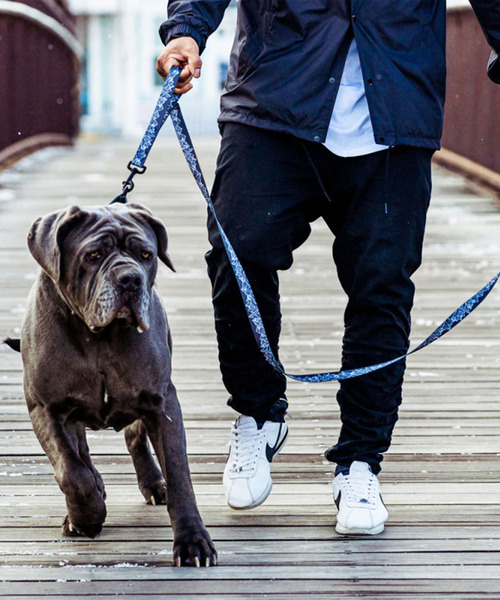 WOLFGANG MAN&BEAST/ウルフギャングマンアンドビースト 犬用 ハーネス WolfMountain Harness Sサイズ WH-001-83（リード/ハーネス/首輪）｜WOLFGANG MAN＆BEAST（ウルフギャングマンアンドビースト）