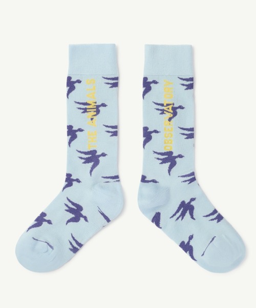 The animals observatory（ジ・アニマルズ・オブザーバトリー）の「The Animals Observatory / 総柄ロゴソックス（ソックス/靴下・キッズ・ブルー/グリーン/イエロー・14-16cm/17-19cm/19-21cm/22-24cm）」の6枚目の写真