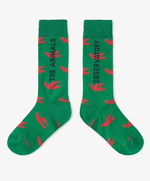 The animals observatory（ジ・アニマルズ・オブザーバトリー）の「The Animals Observatory / 総柄ロゴソックス（ソックス/靴下・キッズ・ブルー/グリーン/イエロー・14-16cm/17-19cm/19-21cm/22-24cm）」の7枚目の写真