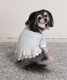 KID BLUE（キッドブルー）の「キッドブルー -ミモザレースドッグ -ドッグウエア -KGBW120 -kidblue（ペットウェア）」