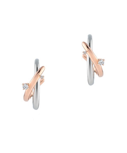 卵型のなんだか分からん石