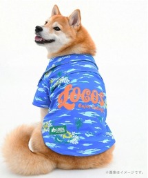 LOGOS(���S�X)��LOGOS/�A���n���]�[�g�V���c���^��(�y�b�g�E�F�A)