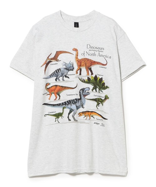 BEAMS BOY（ビームスボーイ）の「【別注】Atlas Screen Printing / Dinosaur Tee（Tシャツ/カットソー・レディース・シルバー・MEDIUM）」の2枚目の写真