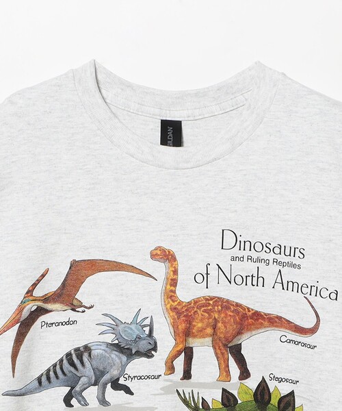 BEAMS BOY（ビームスボーイ）の「【別注】Atlas Screen Printing / Dinosaur Tee（Tシャツ/カットソー・レディース・シルバー・MEDIUM）」の3枚目の写真