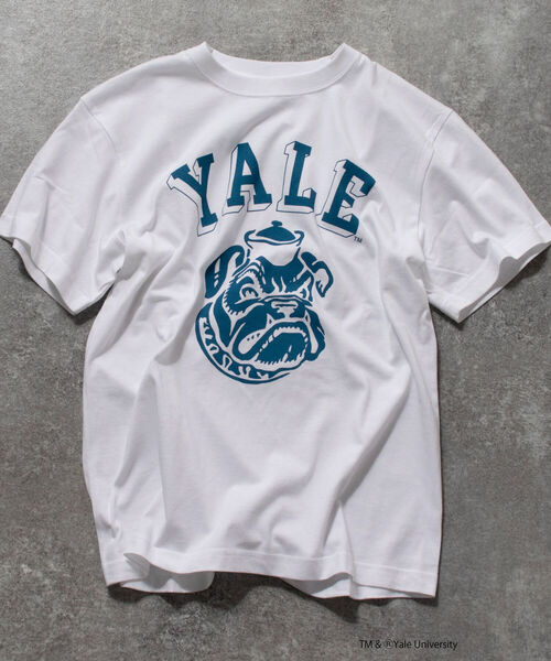 NOLLEY'S goodman（ノーリーズグッドマン）の「YALE / UCLA 別注 カレッジロゴ ビッグシルエット Tシャツ（Tシャツ/カットソー・メンズ・アイボリー/ホワイト系その他/ホワイト系その他2/ホワイト系その他3/チャコールグレー/キャメル/ライトグレー/ネイビー/ホワイト系その他5/ホワイト系その他4・M/L）」の3枚目の写真