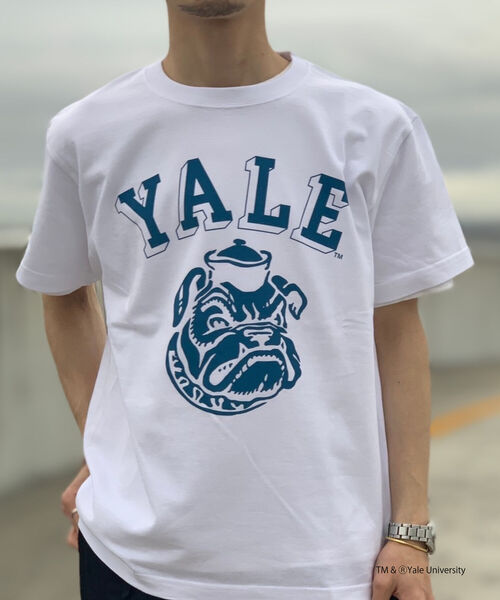 NOLLEY'S goodman（ノーリーズグッドマン）の「YALE / UCLA 別注 カレッジロゴ ビッグシルエット Tシャツ（Tシャツ/カットソー・メンズ・アイボリー/ホワイト系その他/ホワイト系その他2/ホワイト系その他3/チャコールグレー/キャメル/ライトグレー/ネイビー/ホワイト系その他5/ホワイト系その他4・M/L）」の15枚目の写真