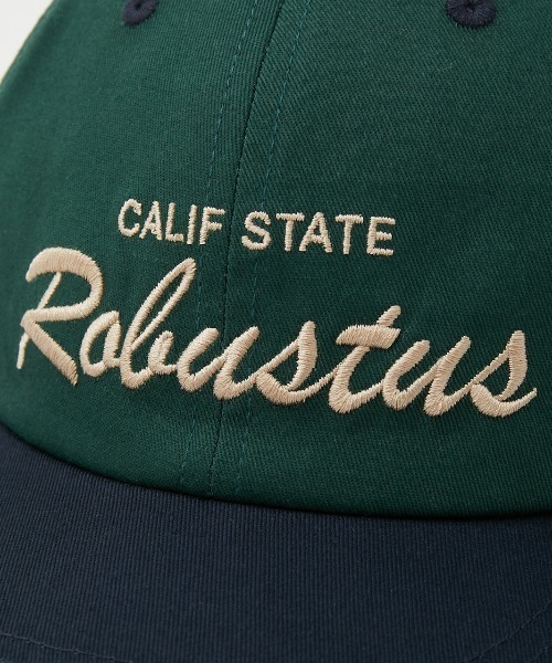 RODEO CROWNS WIDE BOWL(ロデオクラウンズワイドボウル)の「バイカラーCAP(キャップ・メンズ・ホワイト系その他/ベージュ系その他/グリーン系その他・FREE)」の15枚目の写真