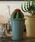 DULTONi_gj́uBOTANY LONG POT S/4.5 Aؔit[x[XjvbO[