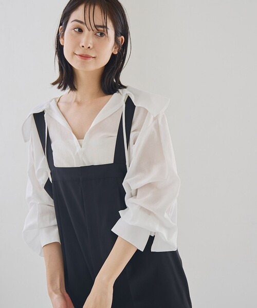 RONEL(ロネル)の「シアーロングスリーブブラウス(シャツ/ブラウス・レディース・ホワイト/ダークブラウン/ブラック・S/M)」の2枚目の写真