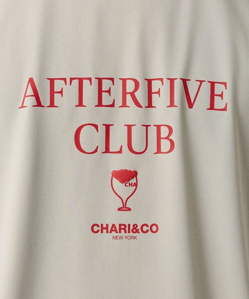 CHARI&CO（チャリアンドコー）の「【別注】＜CHARI&CO＞ AFTER Tシャツ -吸水速乾-（Tシャツ/カットソー・メンズ・ライトグレー/ダークブラウン・XL/L/M）」の15枚目の写真