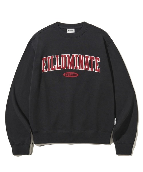 F.ILLUMINATE（フィルミネイト）の「【UNISEX】Filluminate／アーチロゴプルオーバー（スウェット・レディース・グレー/ブラック/ライトブルー・SMALL/MEDIUM）」の20枚目の写真
