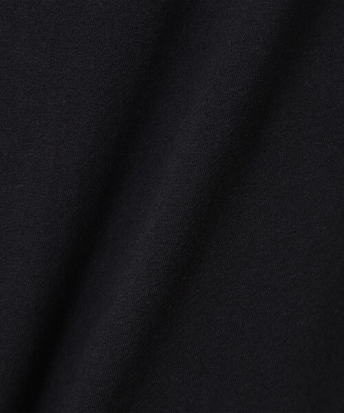 WILD THINGS(ワイルドシングス)の「【別注】WILD THINGS / LOGO T-SHIRT(Tシャツ/カットソー・メンズ・ホワイト/ブラック/ライトグレー・S/M/L/XL)」の13枚目の写真