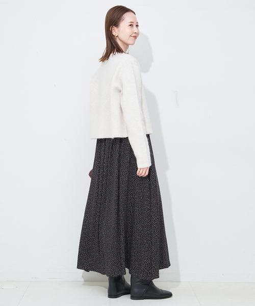 SLOBE IENA(スローブイエナ)の「《WEB限定/追加》ドットシャーリングワンピース(ワンピース・レディース・ブラック・38/36)」の5枚目の写真