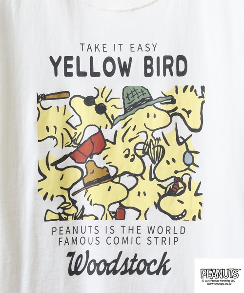PEANUTS（ピーナッツ）の「PEANUTS 密集柄プリント天竺半袖Tシャツ（Tシャツ/カットソー・メンズ・ライトグリーン/ブラック/ホワイト系/サックスブルー/ホワイト系1/オフホワイト・M/L/LL）」の10枚目の写真