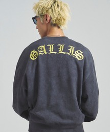 GALLIS ADDICTION | GA COLOR刺繍&PRINT CREW(スウェット)