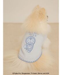 gelato pique｜ジェラート ピケのリード/ハーネス/首輪（ブルー