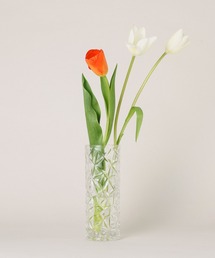 TODAY'S SPECIAL(�g�D�f�C�Y�X�y�V����)�̃t�����[�x�[�X 7.5 / 20 / 639681(�t�����[�x�[�X)