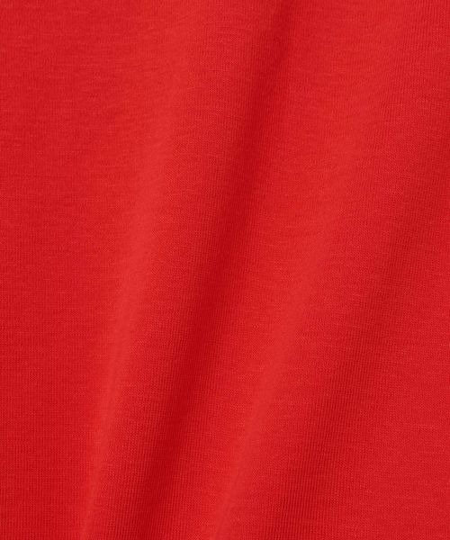 JEANASIS（ジーナシス）の「SuperiorコットンフライスTEE SS/666094（Tシャツ/カットソー・レディース・ブラック/グレー/レッド/ホワイト/ライトブルー・FREE）」の14枚目の写真