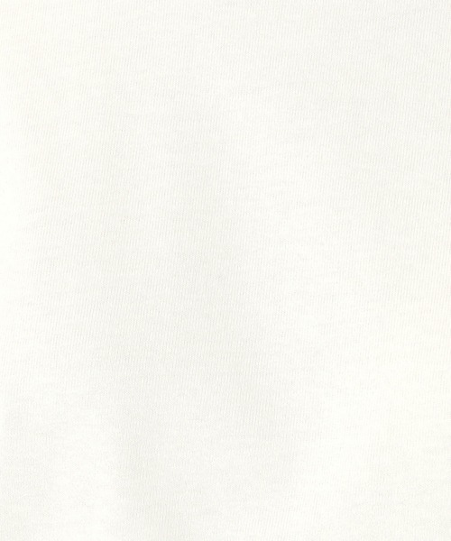 tシャツ 日本製　デラヴェ天竺　カットソー　シーズンカラー レディース 日本製 デラヴェ天竺 カットソー シーズンカラー（Tシャツ