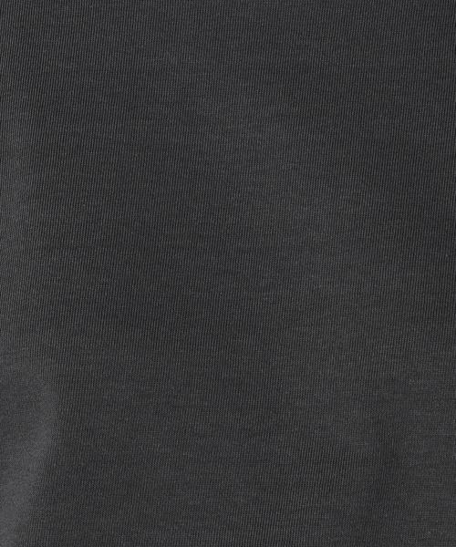 日本製 デラヴェ天竺 カットソー シーズンカラー（Tシャツ/カットソー）｜Grand PARK（グランドパーク） pattayablatt.com
