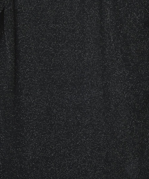 DIP IN CHOCOLATE(ディップインチョコレート)の「ラメ入りシアートップス【DIP IN CHOCOLATE】(Tシャツ/カットソー・レディース・ブラック/ライトグレー/グリーン・F)」の12枚目の写真