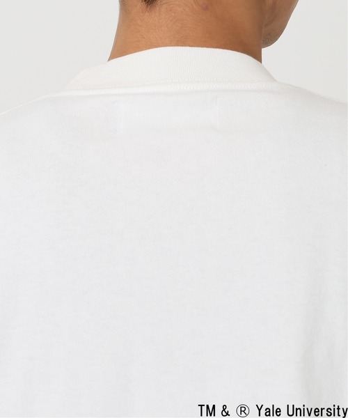 SPALDING（スポルディング）の「【SPALDING × YALE】relume別注ロングスリーブTee（Tシャツ/カットソー・メンズ・ホワイト/ベージュ・MEDIUM/LARGE）」の14枚目の写真
