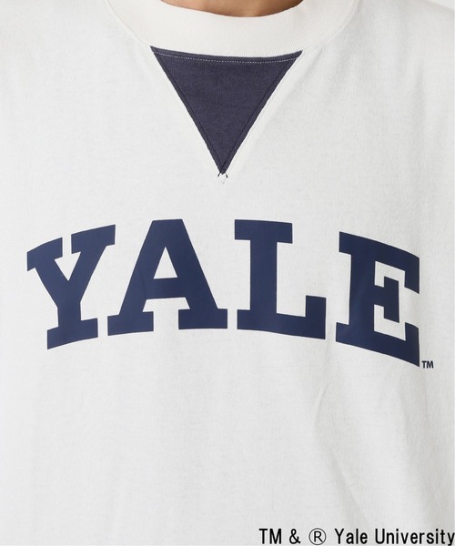 SPALDING（スポルディング）の「【SPALDING × YALE】relume別注ロングスリーブTee（Tシャツ/カットソー・メンズ・ホワイト/ベージュ・MEDIUM/LARGE）」の19枚目の写真