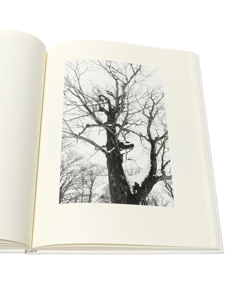 渡辺 洋一 Essence of the Winter Forest 写真集 渡辺洋一 / 雪 The