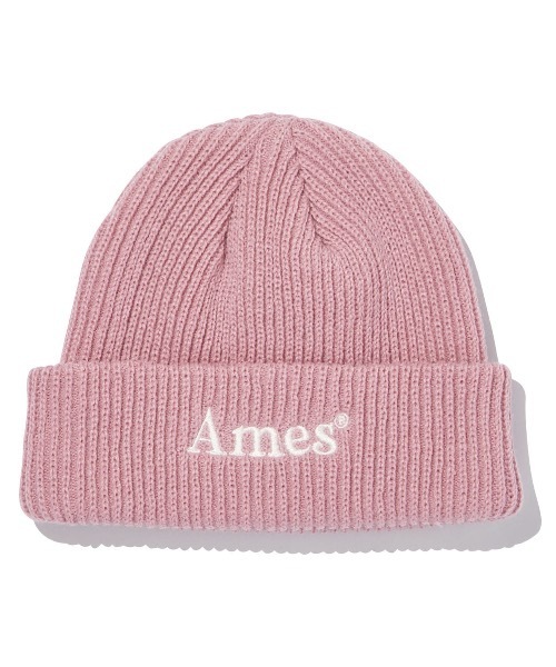 AMESWORLDWIDE(アメスワールドワイド)の「【AMESWORLDWIDE 】カラードロゴビーニー / COLORED LOGO BEANIE(ニットキャップ/ビーニー・レディース・ホワイト/ブラック/レンガ/グリーン/ミント/スカイブルー/パープル/ピンク・FREE)」の7枚目の写真