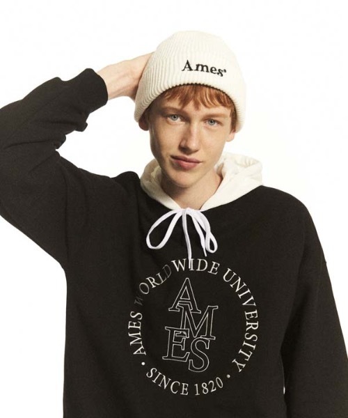 AMESWORLDWIDE(アメスワールドワイド)の「【AMESWORLDWIDE 】カラードロゴビーニー / COLORED LOGO BEANIE(ニットキャップ/ビーニー・レディース・ホワイト/ブラック/レンガ/グリーン/ミント/スカイブルー/パープル/ピンク・FREE)」の19枚目の写真