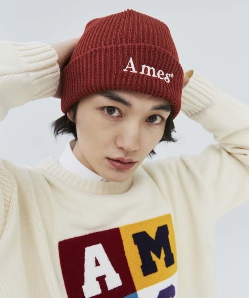AMESWORLDWIDE(アメスワールドワイド)の「【AMESWORLDWIDE 】カラードロゴビーニー / COLORED LOGO BEANIE(ニットキャップ/ビーニー・レディース・ホワイト/ブラック/レンガ/グリーン/ミント/スカイブルー/パープル/ピンク・FREE)」の18枚目の写真