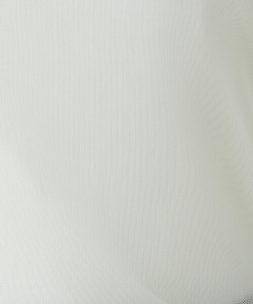 COMME CA ISM(コムサイズム)の「シアー メロウ カットソー(Tシャツ/カットソー・レディース・ブラック/ブラウン/ミント・MEDIUM/LARGE)」の6枚目の写真