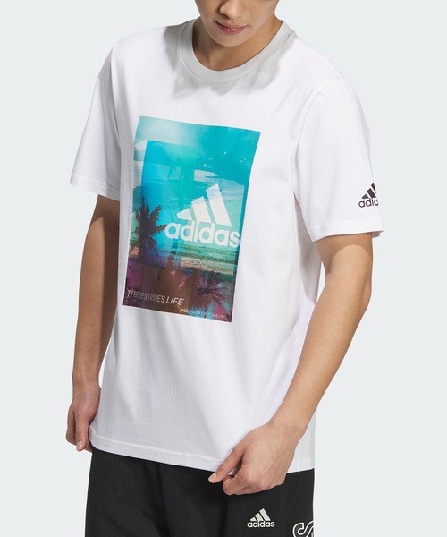 セール】M PALM TREE Tシャツ / アディダス adidas（Tシャツ