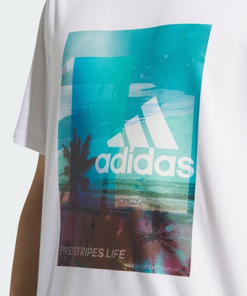 セール】M PALM TREE Tシャツ / アディダス adidas（Tシャツ