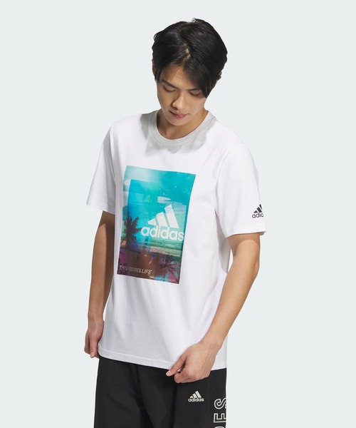 adidas Sportswear M PALM TREE 半袖 Tシャツ 送料込 adidas（アディダス）の「M PALM TREE Tシャツ / アディダス