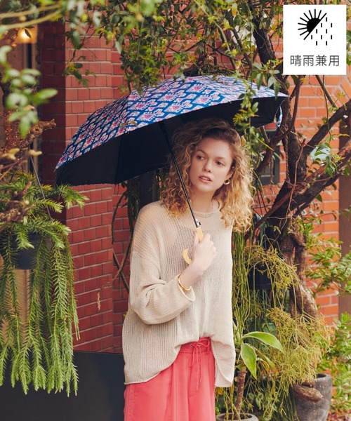 green フラワー・ガーデニング EMP サンセベリア ベンジャロン / SA259