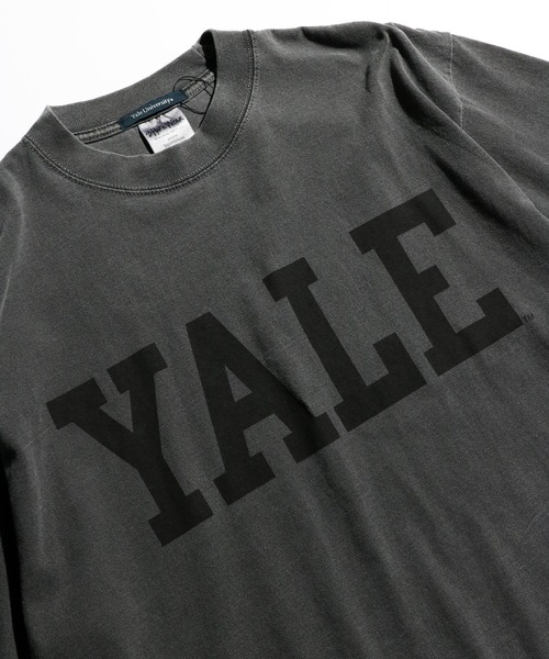 SUNNY SPORTS(サニースポーツ)の「The BOOK STORE / ザブックストア YALE LOGO SS TEE イエール大学ロゴTシャツ(Tシャツ/カットソー・メンズ・サンドベージュ/チャコールグレー/オリーブ系・MEDIUM/LARGE/X-LARGE/SMALL)」の15枚目の写真