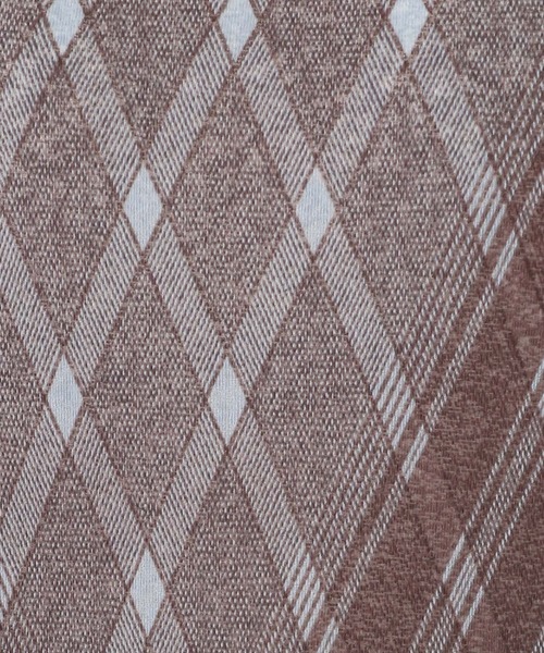 ALAND（エーランド）の「3.3 Field Trip／シアーチェックワンピース（ワンピース・レディース・ピンク/ライトブルー・FREE）」の7枚目の写真