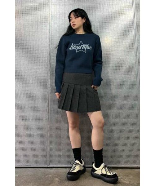 LUVISTRUE(ラヴイズトゥルー)の「WO PLEATS SKIRT(CHARCOAL)(スカート・レディース・その他・SMALL/MEDIUM)」の5枚目の写真