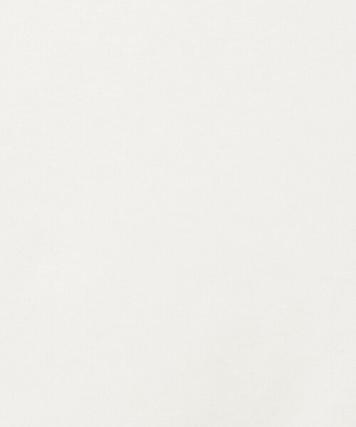 conte(コンテ)の「<conte>シアー ロングスリーブTシャツ(Tシャツ/カットソー・レディース・ホワイト/ブラック・FREE)」の12枚目の写真