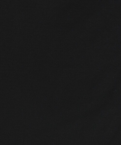 conte(コンテ)の「<conte>シアー ロングスリーブTシャツ(Tシャツ/カットソー・レディース・ホワイト/ブラック・FREE)」の15枚目の写真