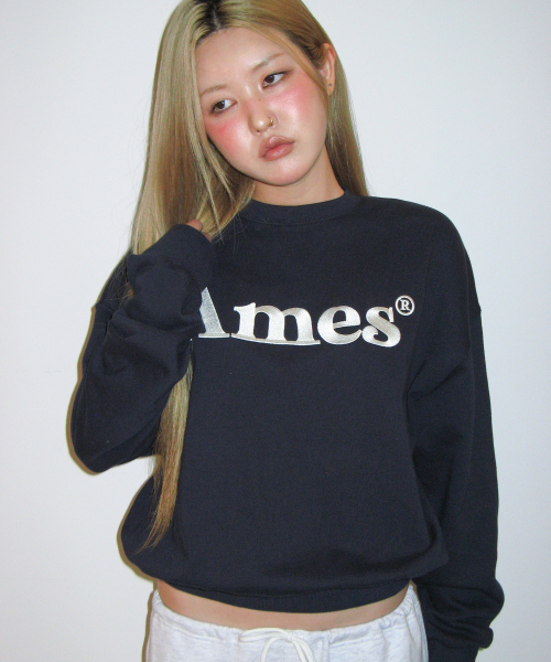 AMESWORLDWIDE(アメスワールドワイド)の「BASIC LOGO SWEATSHIRT NAVY(スウェット・レディース・その他・SMALL/MEDIUM/LARGE)」の3枚目の写真