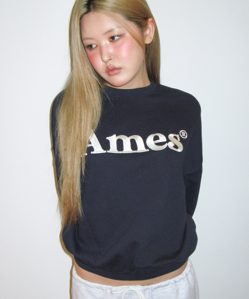 AMESWORLDWIDE(アメスワールドワイド)の「BASIC LOGO SWEATSHIRT NAVY(スウェット・レディース・その他・SMALL/MEDIUM/LARGE)」の4枚目の写真