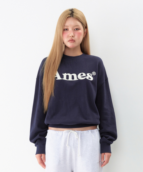 AMESWORLDWIDE(アメスワールドワイド)の「BASIC LOGO SWEATSHIRT NAVY(スウェット・レディース・その他・SMALL/MEDIUM/LARGE)」の7枚目の写真