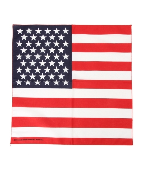 Ray BEAMS（レイビームス）の「The Bandanna Company / マルチプリント バンダナ（バンダナ/スカーフ・レディース・その他2/その他5/その他6/その他10/その他11/その他7/その他8/その他9/その他3/その他4・ONE SIZE）」の19枚目の写真